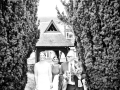 0097 - Kitty & Jeff's Wedding Photos - 0097